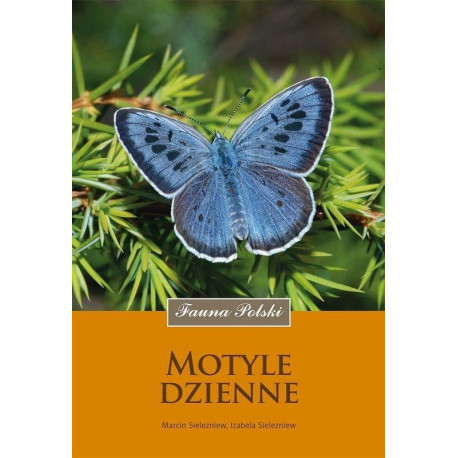 Motyle dzienne