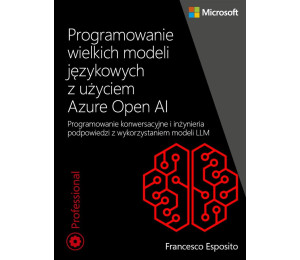 Programowanie wielkich modeli językowych z użyciem