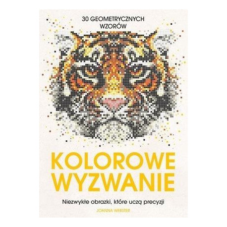 Kolorowe wyzwanie. 30 geometrycznych wzorów