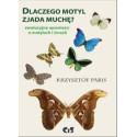 Dlaczego motyl zjada muchę