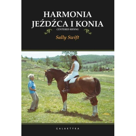 Harmonia jeźdźca i konia