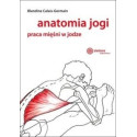 Anatomia jogi