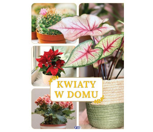 Kwiaty w domu