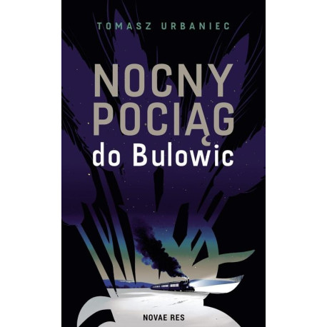 Nocny pociąg do Bulowic