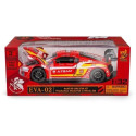 RMZ HOBBY 1:32 Audi R8 LMS EVA RT Production 02