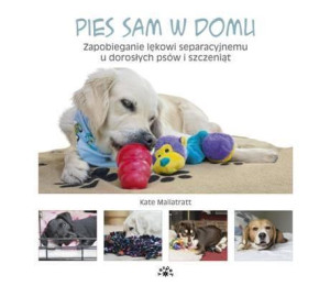 Pies sam w domu. Zapobieganie lękowi...