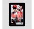 (e-book) Kimi Raikkonen