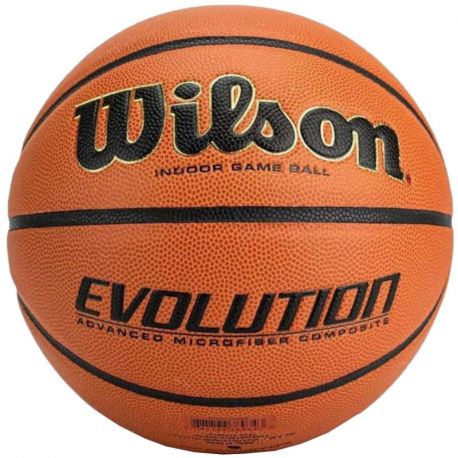 Piłka Wilson Evolution Indoor Game Ball