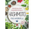 Hashimoto na widelcu w.2023