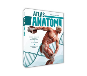 Atlas anatomii