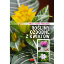 Rośliny ozdobne z kwiatów. Poradnik praktyczny