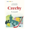 Czechy