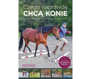 Czego naprawdę chcą konie