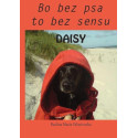 Daisy. Bo bez psa to bez sensu