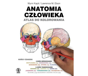 Anatomia człowieka. Atlas do kolorowania