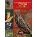 Ilustrowana encyklopedia ptaków Polski