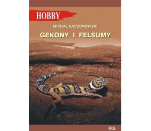 Gekony I Felsumy w.3