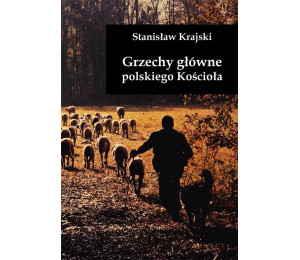 Grzechy główne polskiego Kościoła