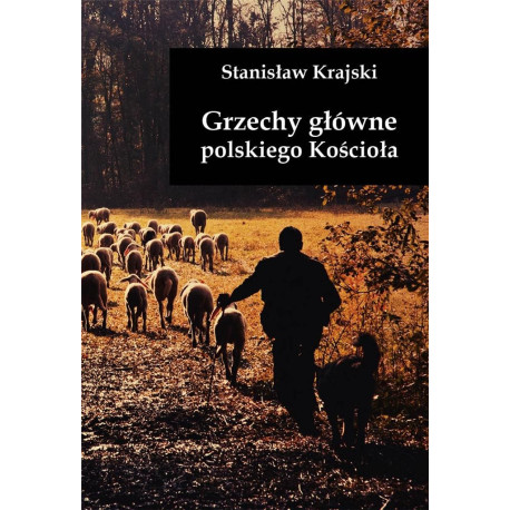 Grzechy główne polskiego Kościoła