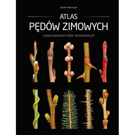 Atlas pędów zimowych