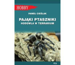 Pająki Ptaszniki. Hodowla W Terrarium