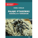 Pająki Ptaszniki. Hodowla W Terrarium