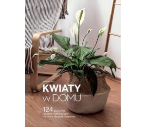 Kwiaty w domu