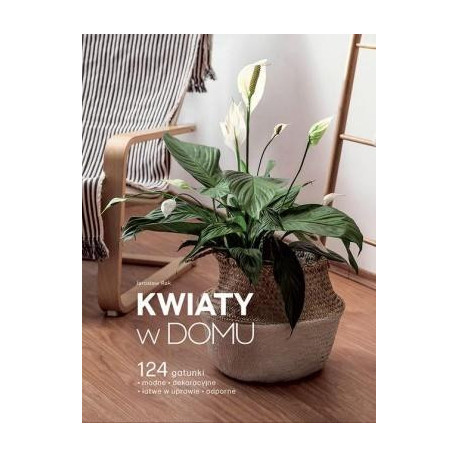 Kwiaty w domu