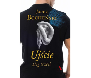 Ujście. Blog trzeci