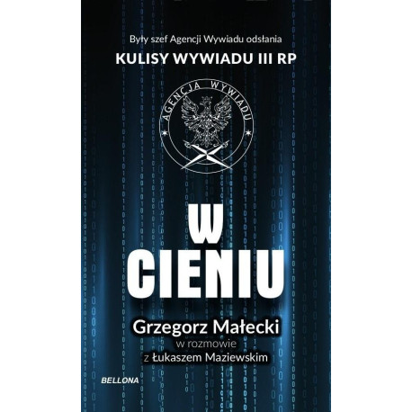 W cieniu. Kulisy wywiadu III RP