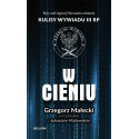 W cieniu. Kulisy wywiadu III RP