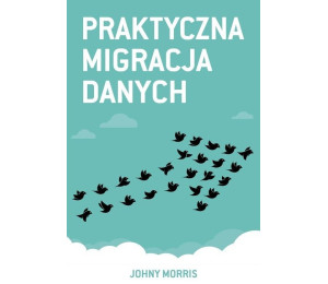 Praktyczna migracja danych