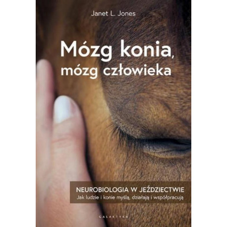 Mózg konia, mózg człowieka