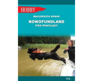 Nowofundlad - pies pracujący