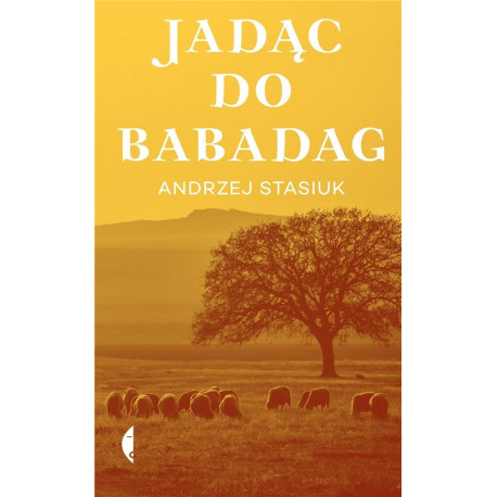 Jadąc do Babadag w.2021