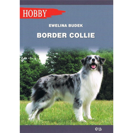 Border Collie w.2020