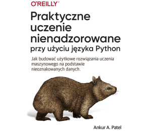 Praktyczne uczenie nienadzorowane przy użyciu języ