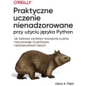 Praktyczne uczenie nienadzorowane przy użyciu języ