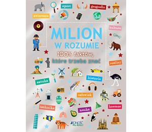 Milion w rozumie