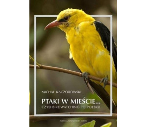 Ptaki w mieście, czyli birdwatching po polsku