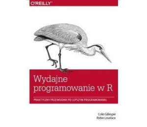 Wydajne programowanie w R