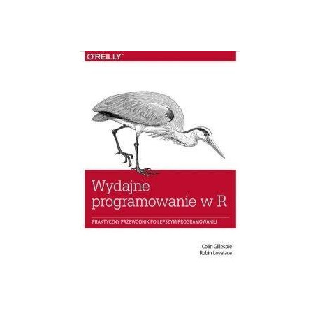 Wydajne programowanie w R