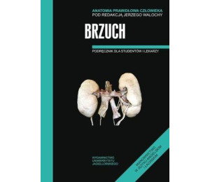 Anatomia prawidłowa człowieka. Brzuch