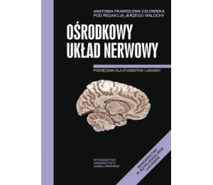 Anatomia prawidłowa człowieka. Ośrodkowy ukł. ner.