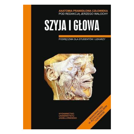 Anatomia prawidłowa człowieka. Szyja i głowa