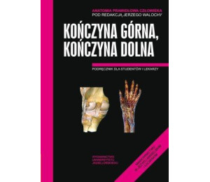 Anatomia prawidłowa człowieka. Koń.górna,koń. dol.