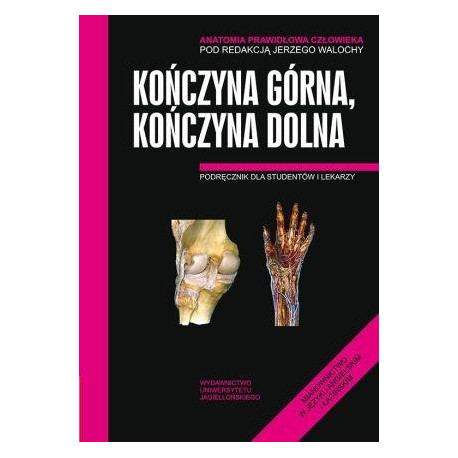 Anatomia prawidłowa człowieka. Koń.górna,koń. dol.