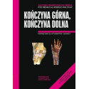 Anatomia prawidłowa człowieka. Koń.górna,koń. dol.