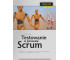 Testowanie w procesie Scrum